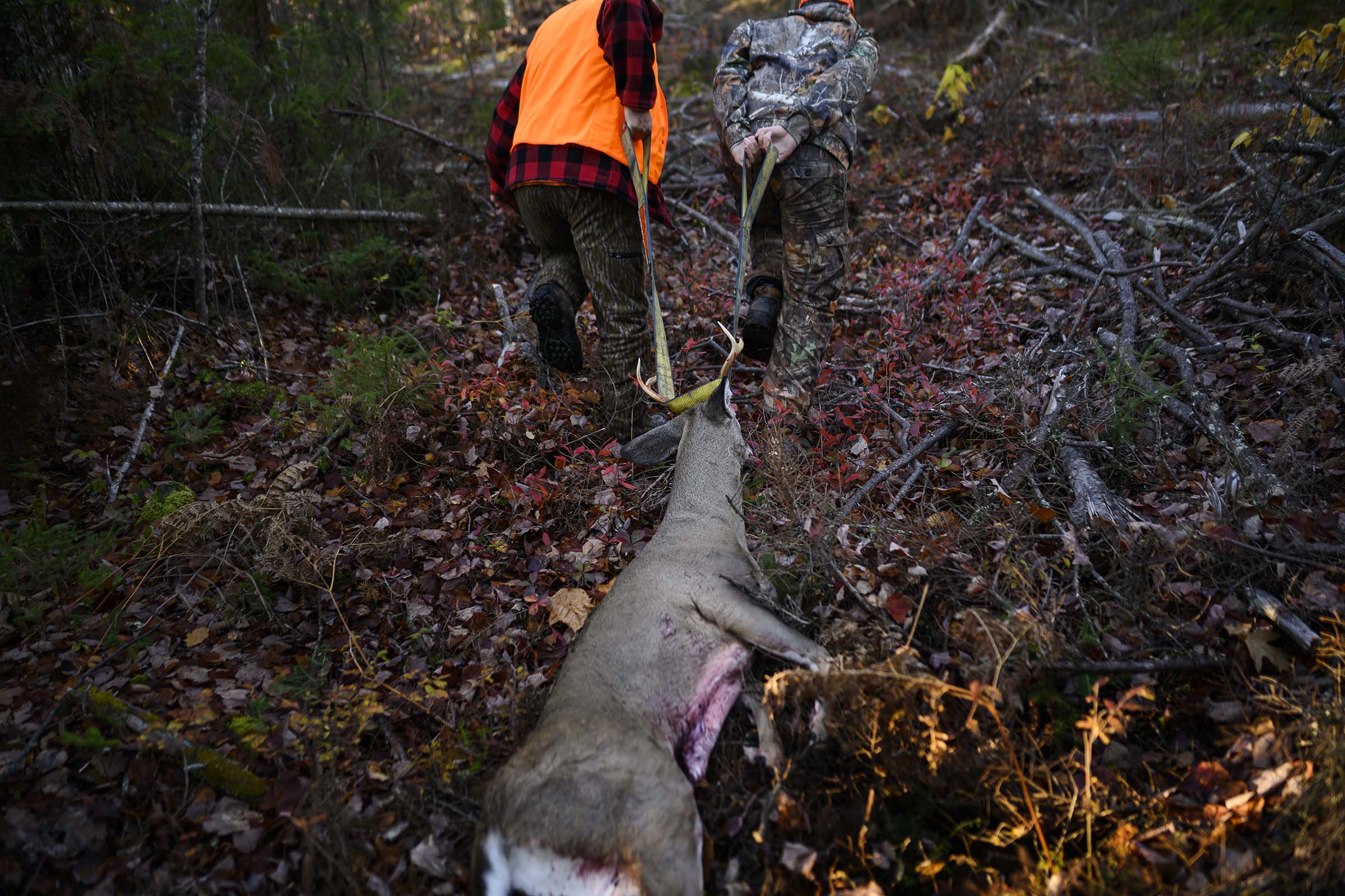 LR_Deer_Camp02